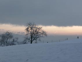 Nachmittagstimmung vom 15 Dezember